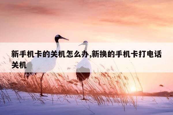 手机卡没在手机上打电话是关机吗怎么回事 手机卡没在手机上打电话是关机吗怎么回事